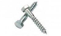 Coach Screw